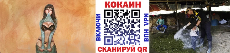 COCAIN Перу  купить закладку  это какой сайт  Котельниково 