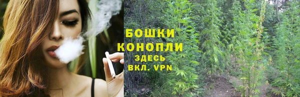 трава Балахна