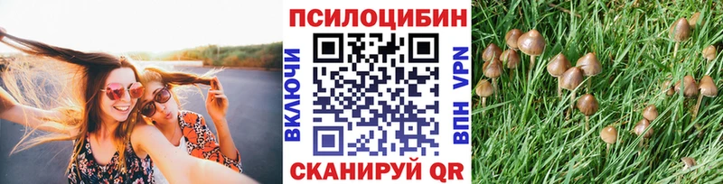 как найти закладки  Котельниково  Псилоцибиновые грибы мухоморы 